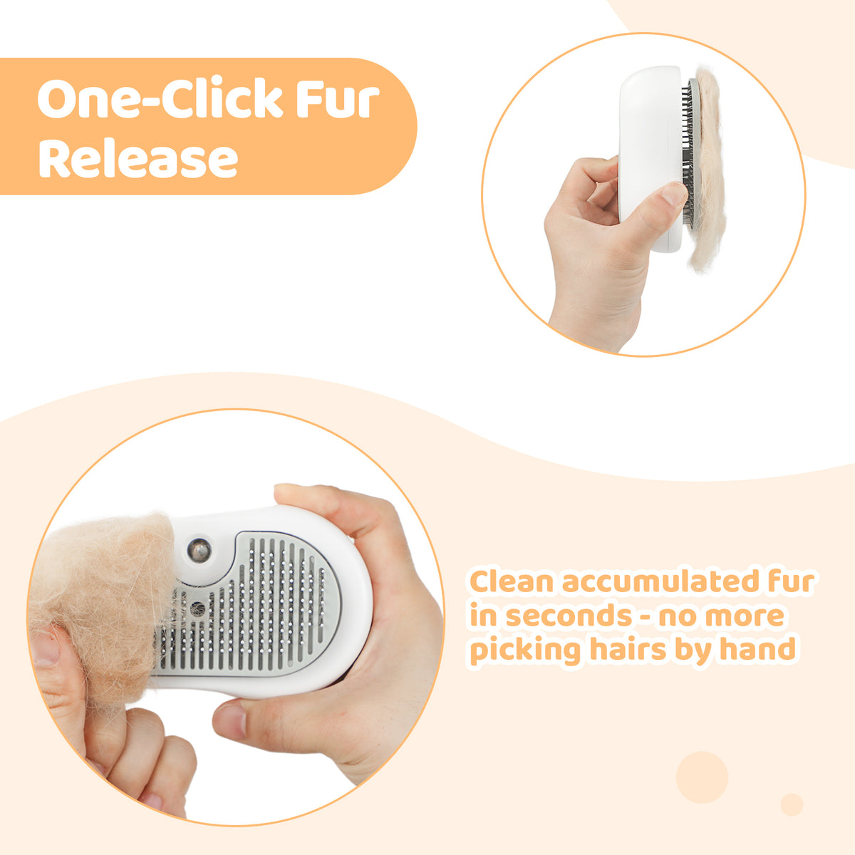 Cat being groomed with steam brush