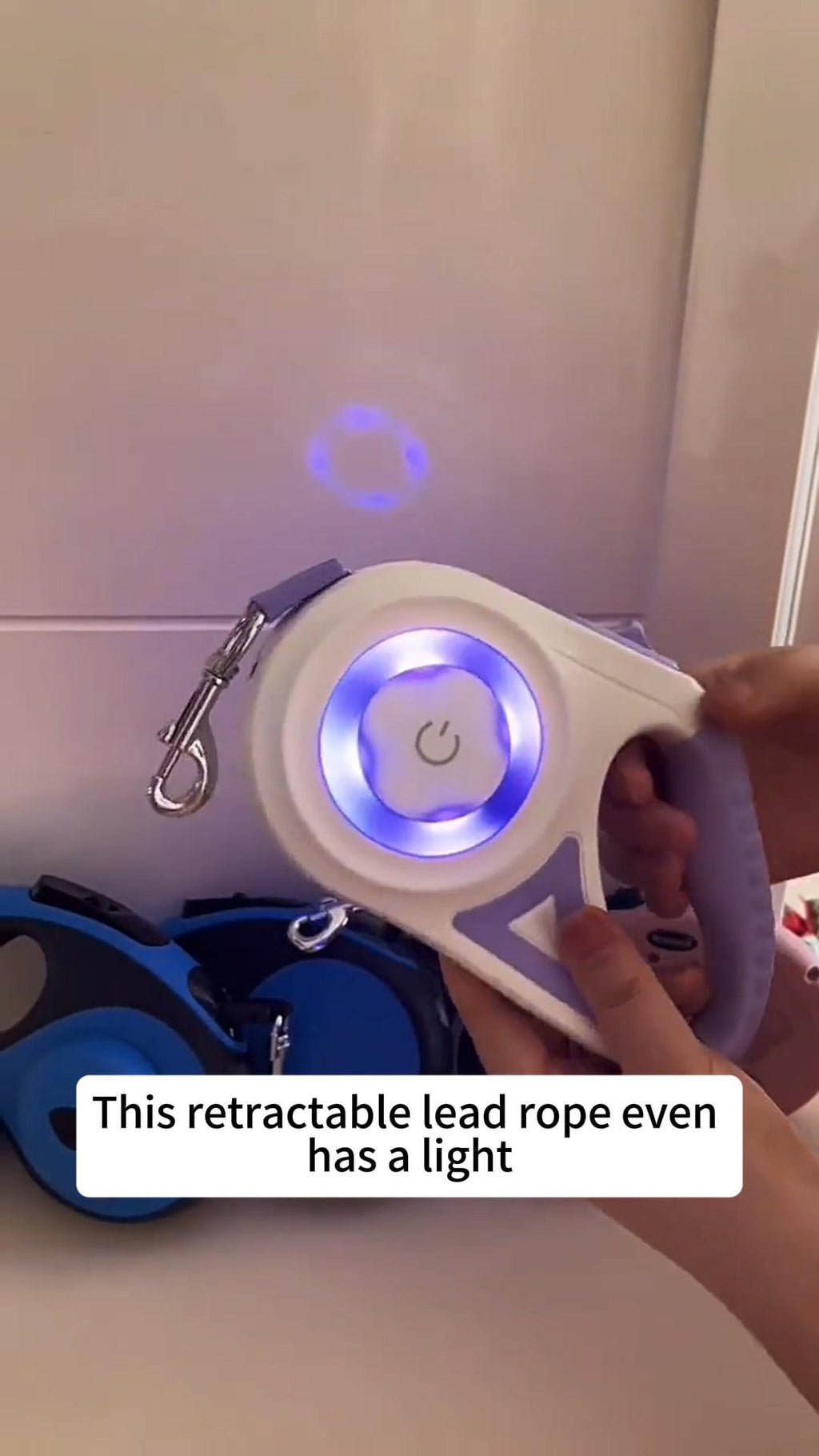 Retractable Dog Leash - spotlight in use